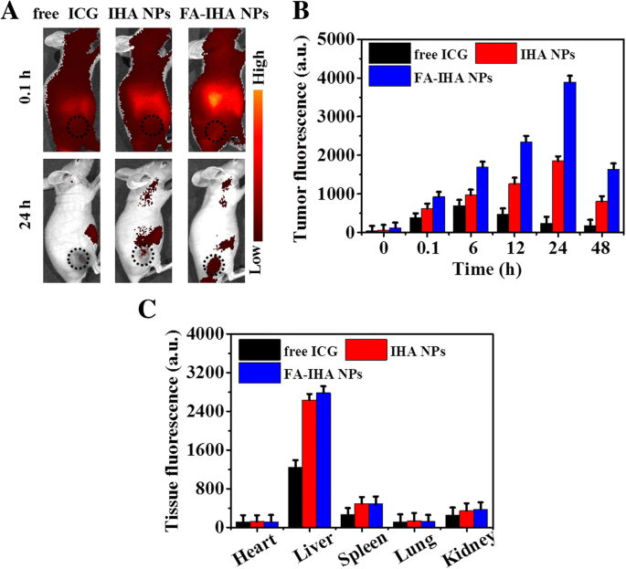 High‑Efficiency Tumor‑Targeted Photo‑Chemo Theranostic Nanoparticles: Artesunate‑Loaded, ICG‑Conjugated Human Serum Albumin