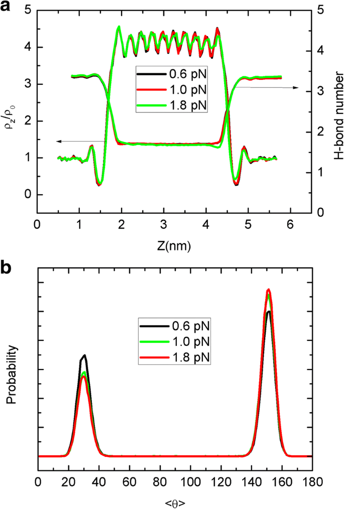 Graphene‑Sheet‑Driven Nanopump: Harnessing Brownian and Directed Motion to Generate Net Water Flux through Carbon Nanotube Channels