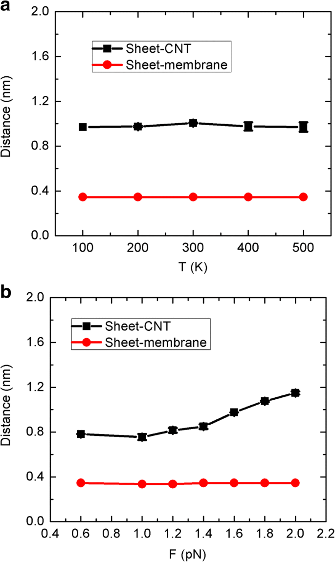 Graphene‑Sheet‑Driven Nanopump: Harnessing Brownian and Directed Motion to Generate Net Water Flux through Carbon Nanotube Channels