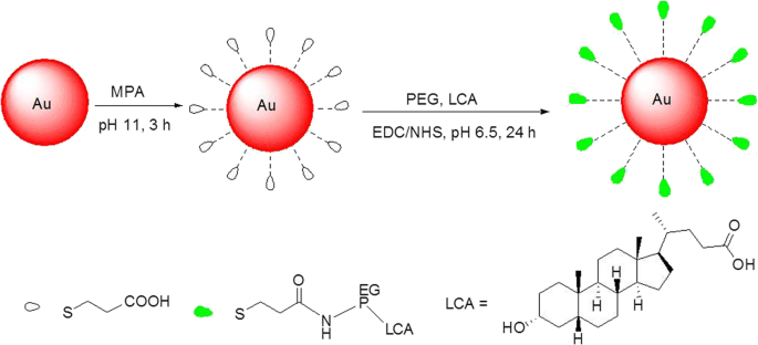 Lithocholic Acid–Functionalized Gold Nanoparticles Induce Selective Apoptosis in Liver Cancer Cells