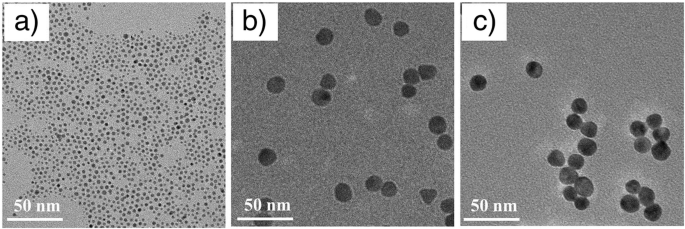 Lithocholic Acid–Functionalized Gold Nanoparticles Induce Selective Apoptosis in Liver Cancer Cells