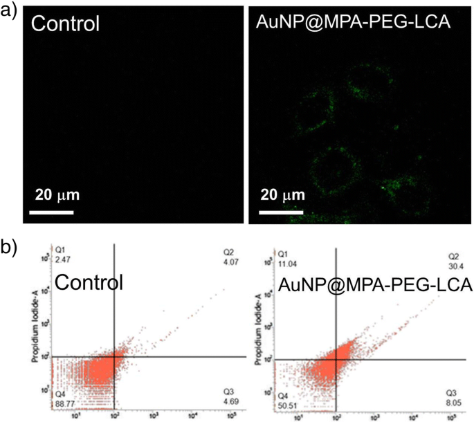 Lithocholic Acid–Functionalized Gold Nanoparticles Induce Selective Apoptosis in Liver Cancer Cells