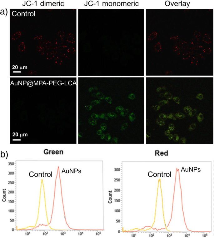 Lithocholic Acid–Functionalized Gold Nanoparticles Induce Selective Apoptosis in Liver Cancer Cells
