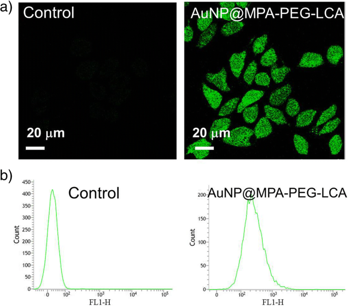 Lithocholic Acid–Functionalized Gold Nanoparticles Induce Selective Apoptosis in Liver Cancer Cells