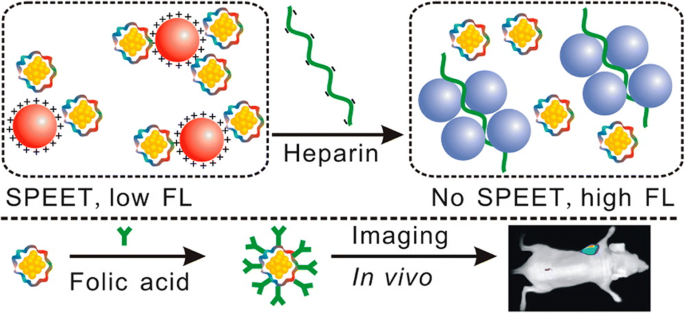 Biomedical Applications of Gold Nanoclusters: Recent Advances and Future Directions