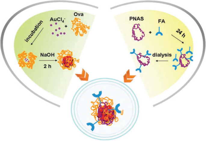 Biomedical Applications of Gold Nanoclusters: Recent Advances and Future Directions