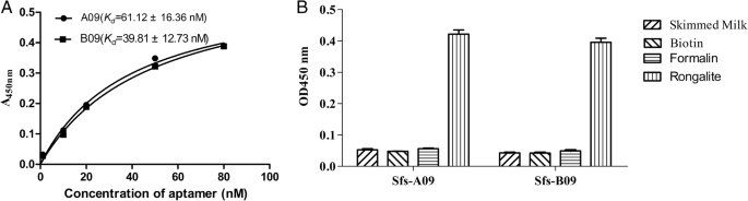 Fast On‑Site Detection of Rongalite in Food Using an Aptamer‑Based Sandwich Lateral Flow Strip Assay