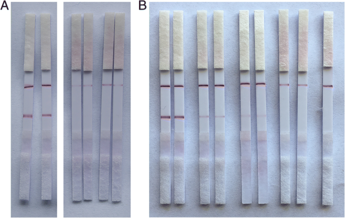Fast On‑Site Detection of Rongalite in Food Using an Aptamer‑Based Sandwich Lateral Flow Strip Assay