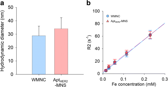 HER2-Targeted Magnetic Nanosensitizer Enhances In Vivo MRI for HER2-Positive Cancers