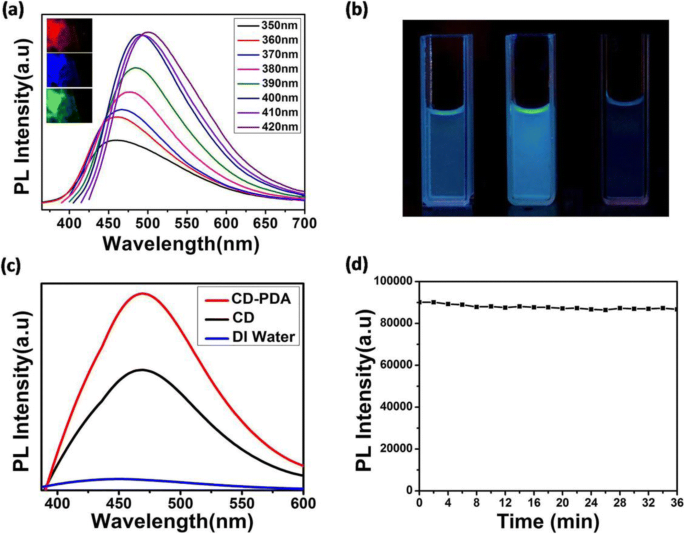 5‑Minute Microwave‑Assisted Synthesis of Polydopamine‑Passivated Carbon Dots with 5 % Quantum Yield and 35 % Photothermal Efficiency for Cancer Therapy