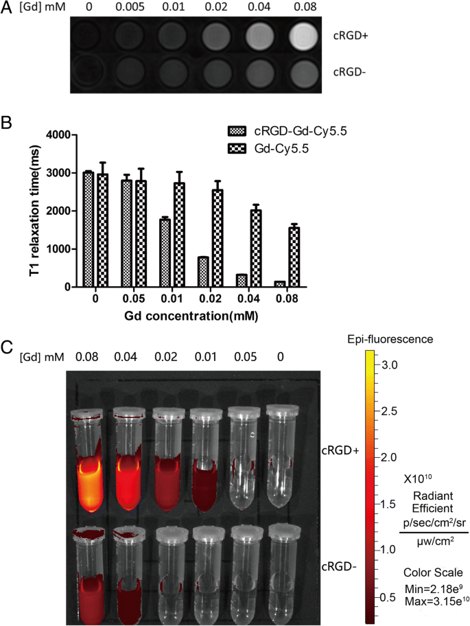 Dual‑Mode MRI/Fluorescence Nanoprobe cRGD‑Gd‑Cy5.5 for Targeted Imaging of Integrin αvβ3‑Positive Tumors