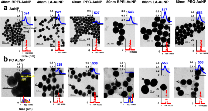 Gold Nanoparticles Modulate CYP3A4 Activity and Cellular Toxicity in Human Hepatocellular Carcinoma: Influence of Size, Surface Chemistry, and Protein Corona