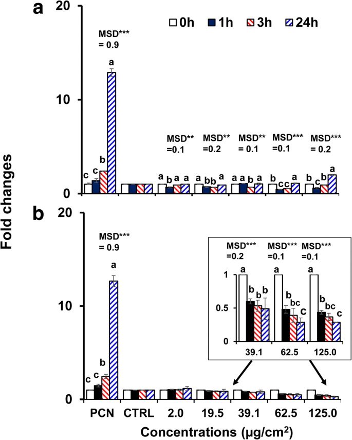 Gold Nanoparticles Modulate CYP3A4 Activity and Cellular Toxicity in Human Hepatocellular Carcinoma: Influence of Size, Surface Chemistry, and Protein Corona