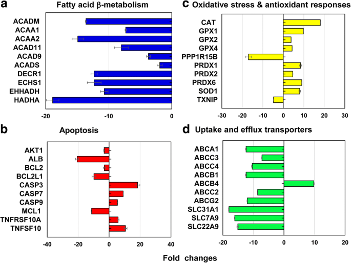 Gold Nanoparticles Modulate CYP3A4 Activity and Cellular Toxicity in Human Hepatocellular Carcinoma: Influence of Size, Surface Chemistry, and Protein Corona