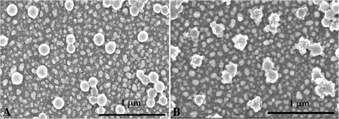Ultra‑sensitive Amperometric Biosensor for Matrix Metalloproteinase‑7 Detection Using Pd‑Functionalized Carbon Nanocomposites