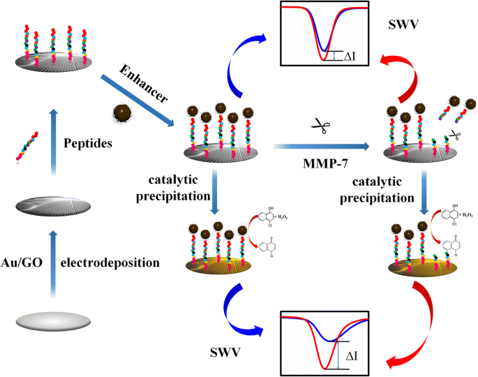 Ultra‑sensitive Amperometric Biosensor for Matrix Metalloproteinase‑7 Detection Using Pd‑Functionalized Carbon Nanocomposites