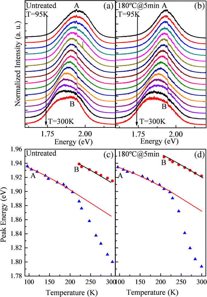 Thermal Annealing Enhances Emission in InP/ZnS Quantum Dot Films: Photoluminescence Insights
