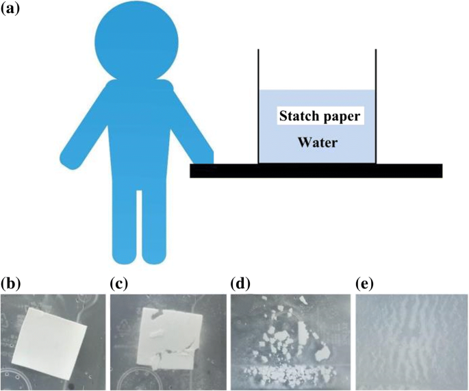Eco‑Friendly Starch‑Paper Triboelectric Nanogenerator for Real‑Time Human Sweat Sensing