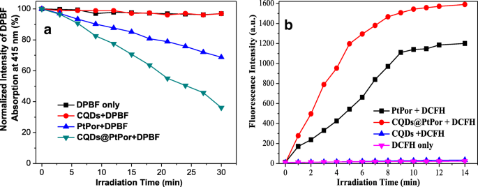 Carbon Quantum Dot–Platinum Porphyrin Composite: A Dual‑Function Theranostic Agent for Enhanced Photodynamic Cancer Therapy