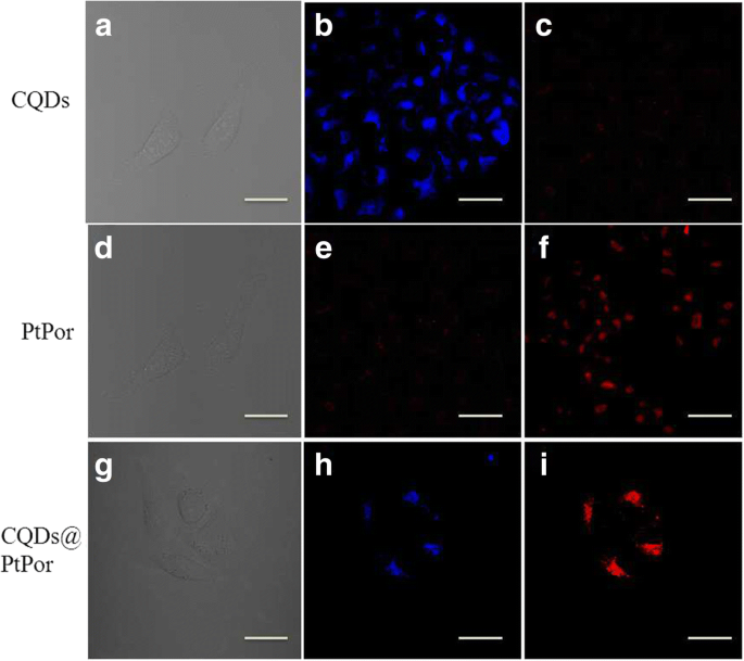 Carbon Quantum Dot–Platinum Porphyrin Composite: A Dual‑Function Theranostic Agent for Enhanced Photodynamic Cancer Therapy