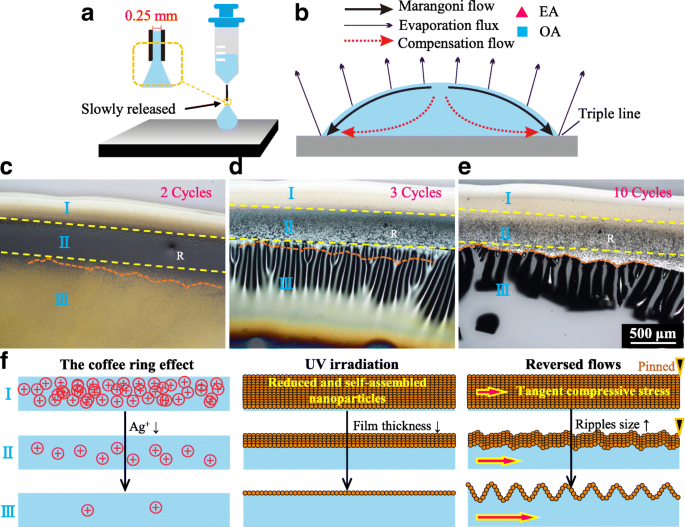 Controlling Zigzag Hollow Cracks in Silver Nanoparticle Films via Drying Micro‑Environment Regulation