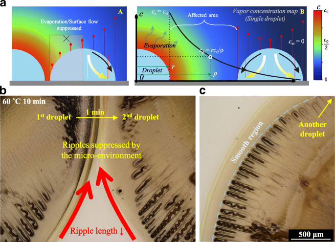 Controlling Zigzag Hollow Cracks in Silver Nanoparticle Films via Drying Micro‑Environment Regulation