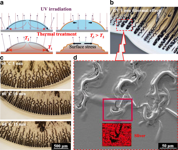 Controlling Zigzag Hollow Cracks in Silver Nanoparticle Films via Drying Micro‑Environment Regulation