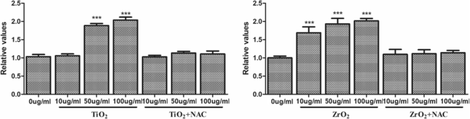 Zirconia Nanoparticles Trigger ROS‑Mediated Cytotoxicity and Suppress Osteogenic Differentiation in 3T3‑E1 Osteoblasts