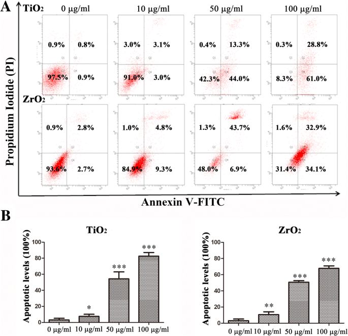 Zirconia Nanoparticles Trigger ROS‑Mediated Cytotoxicity and Suppress Osteogenic Differentiation in 3T3‑E1 Osteoblasts