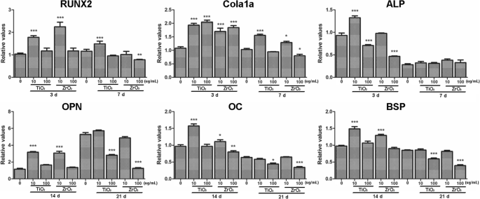 Zirconia Nanoparticles Trigger ROS‑Mediated Cytotoxicity and Suppress Osteogenic Differentiation in 3T3‑E1 Osteoblasts