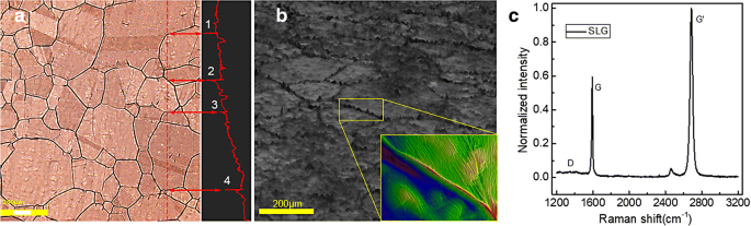 Secondary Transfer of Graphene Electrodes for Highly Stable Flexible OLEDs