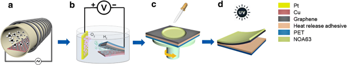 Secondary Transfer of Graphene Electrodes for Highly Stable Flexible OLEDs