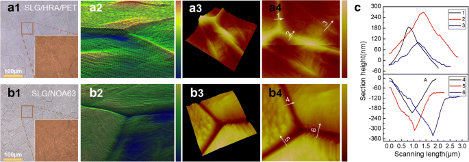 Secondary Transfer of Graphene Electrodes for Highly Stable Flexible OLEDs