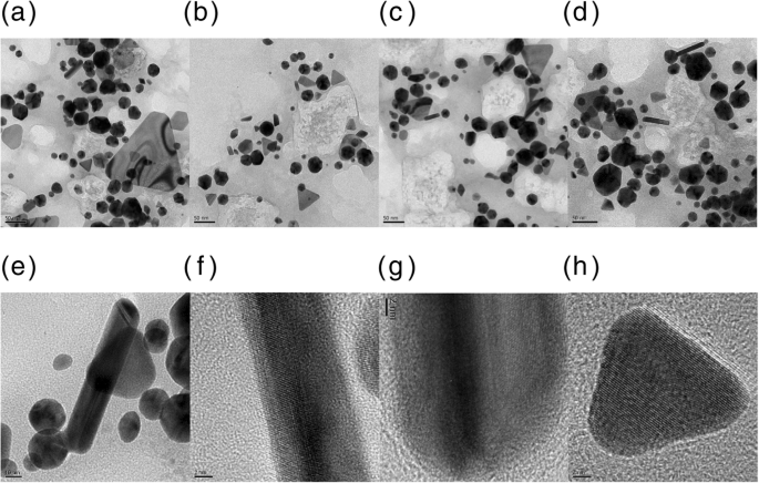 Green Synthesis of Gold Nanoparticles from Artemisia capillaris, Portulaca oleracea, and Prunella vulgaris Extracts: Antioxidant Activity and Cytotoxicity Evaluation