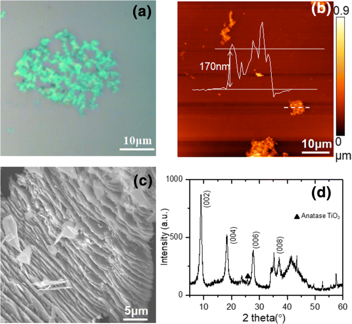 High‑Pressure Structural and Phonon Analysis of Ti₃C₂Tₓ MXene Using X‑Ray Diffraction and Raman Spectroscopy