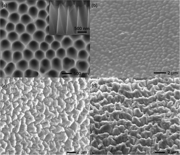 Cost‑Effective PDMS Nanocone Cluster for Ultra‑Low Solar‑Cell Reflectance and Superhydrophobic Self‑Cleaning