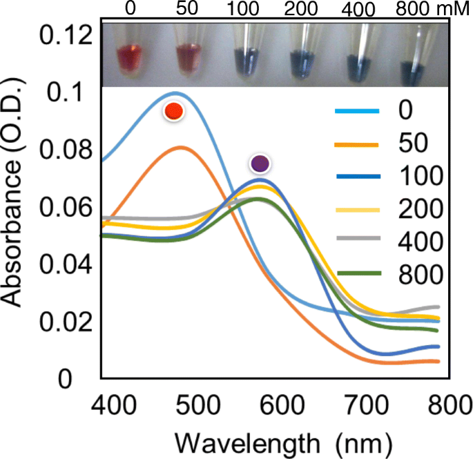 Ultra‑Sensitive Colorimetric TB Detection Using ESAT‑6 Antigen–Antibody Complexes and Gold Nanoparticles