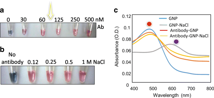 Ultra‑Sensitive Colorimetric TB Detection Using ESAT‑6 Antigen–Antibody Complexes and Gold Nanoparticles