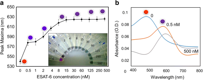 Ultra‑Sensitive Colorimetric TB Detection Using ESAT‑6 Antigen–Antibody Complexes and Gold Nanoparticles