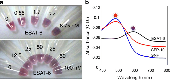 Ultra‑Sensitive Colorimetric TB Detection Using ESAT‑6 Antigen–Antibody Complexes and Gold Nanoparticles