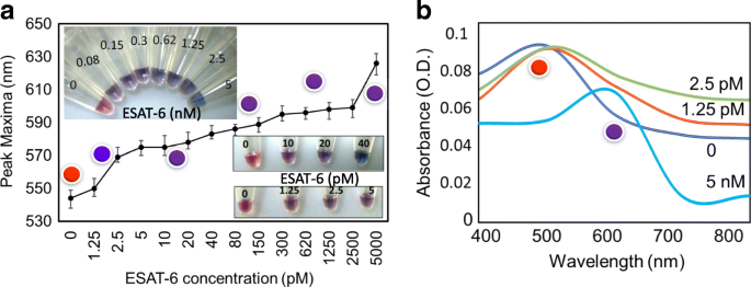 Ultra‑Sensitive Colorimetric TB Detection Using ESAT‑6 Antigen–Antibody Complexes and Gold Nanoparticles