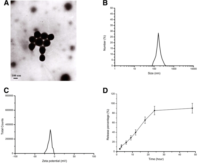 Curcumin‑Loaded Chitosan–Bovine Serum Albumin Nanoparticles Enhance Amyloid‑β42 Clearance and Modulate Macrophage Polarization in Alzheimer’s Disease