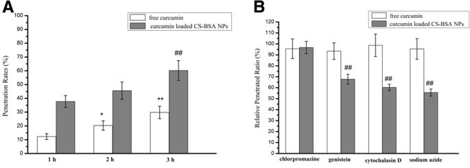 Curcumin‑Loaded Chitosan–Bovine Serum Albumin Nanoparticles Enhance Amyloid‑β42 Clearance and Modulate Macrophage Polarization in Alzheimer’s Disease