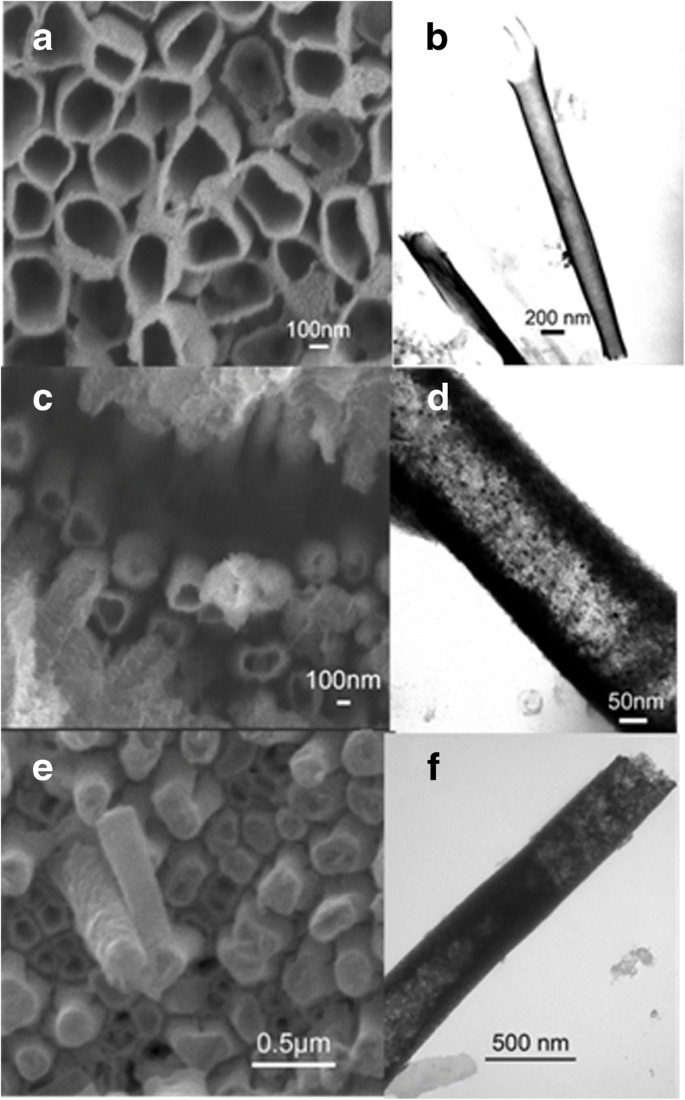 Fabrication and Magnetic Behavior of Nd/Ferromagnet/PA66 Three-Layer Coaxial Nanocables