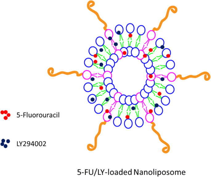 Targeted Co‑Delivery of 5‑Fluorouracil and LY294002 via PEG‑Lipid Nanoparticles Enhances Antitumor Efficacy in Esophageal Squamous Cell Carcinoma