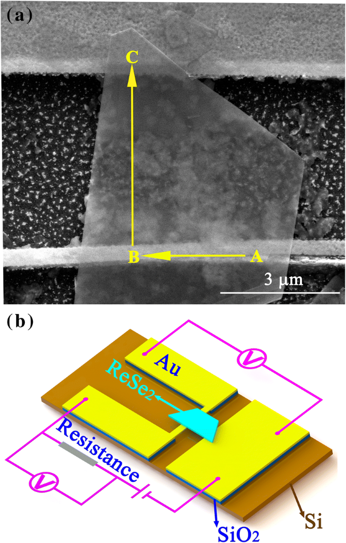 ReSe₂–Au Junctions Show Strong Rectification Across 273–340 K