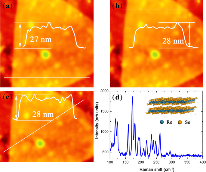 ReSe₂–Au Junctions Show Strong Rectification Across 273–340 K