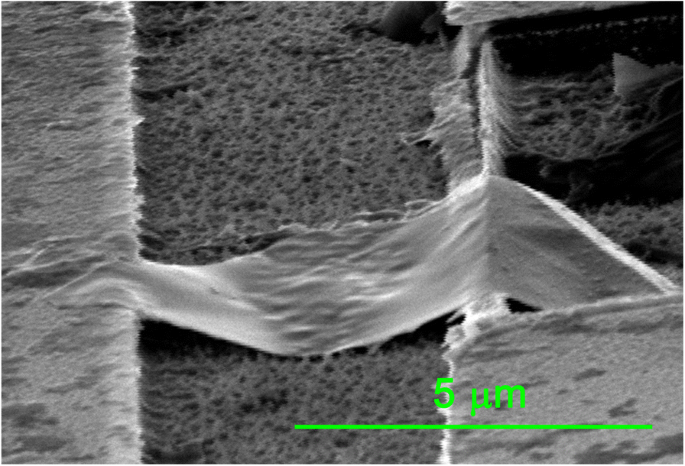 ReSe₂–Au Junctions Show Strong Rectification Across 273–340 K