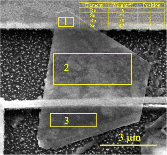 ReSe₂–Au Junctions Show Strong Rectification Across 273–340 K