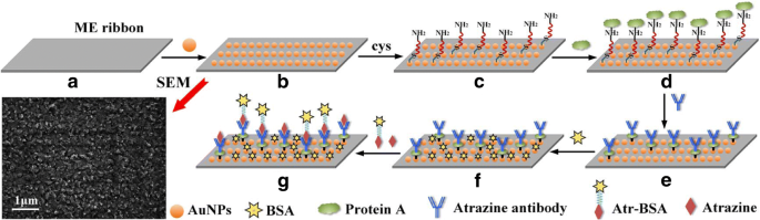 Wireless Magnetoelastic Nanobiosensor Achieves Ultra‑Sensitive Atrazine Detection